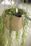b.for swing 18cm *goudkleurig zand